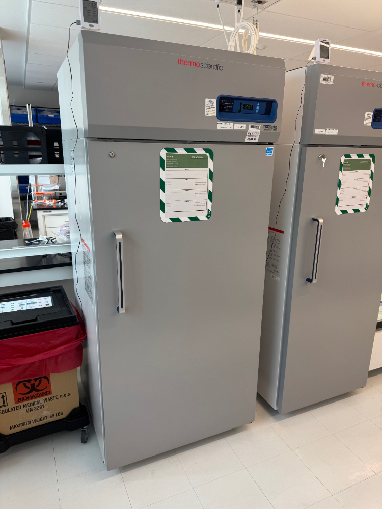 Image of Thermo TSX Series -20C Freezer